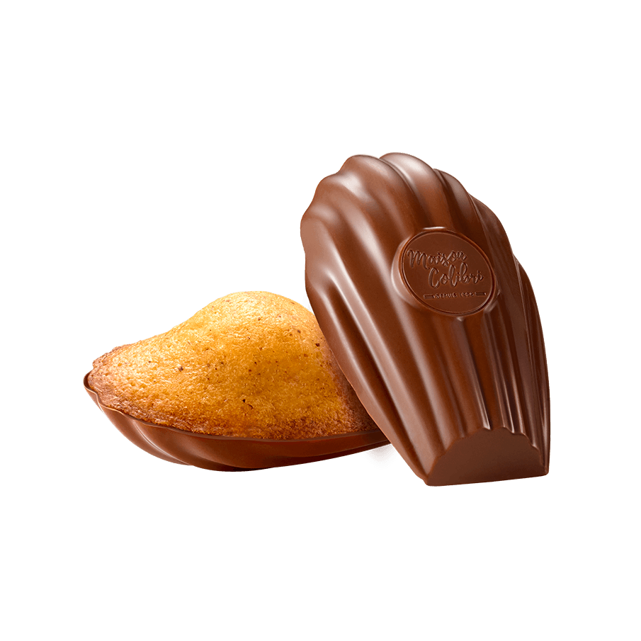 Madeleine Noisette Coque chocolat au lait