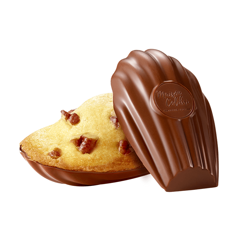 madeleine coque chocolat au lait
