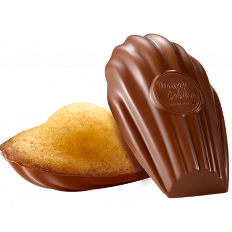 Madeleine nature coque chocolat au lait