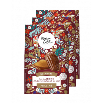 Madeleine Praliné Noisette Coque Chocolat au Lait - Maison Colibri