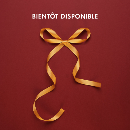 Madeleine épices de noël - Nouvelle recette en édition limitée Madeleine épices de noël - Nouvelle recette en édition limitée