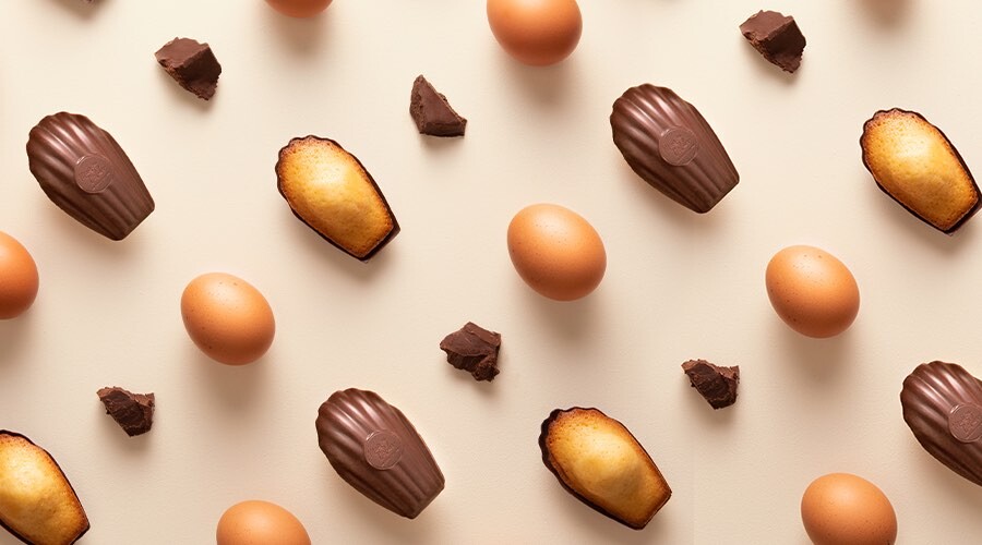 Madeleines, carrés de chocolat et œufs placés en ligne sur un fond clair