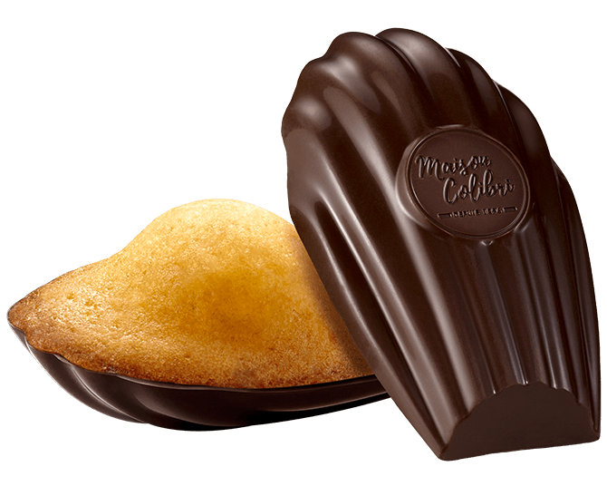 Madeleine nature coque chocolat noir